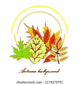 autumn deciduous autumn vector background