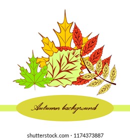 autumn deciduous autumn vector background