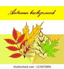 autumn deciduous autumn vector background