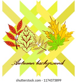 autumn deciduous autumn vector background