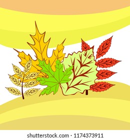 autumn deciduous autumn vector background