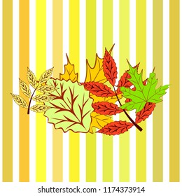 autumn deciduous autumn vector background