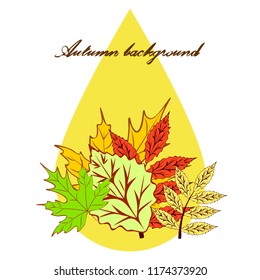autumn deciduous autumn vector background