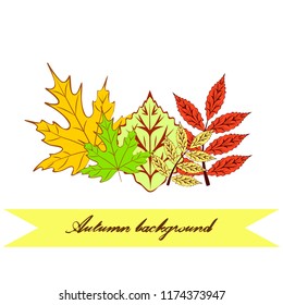 autumn deciduous autumn vector background