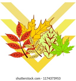 autumn deciduous autumn vector background