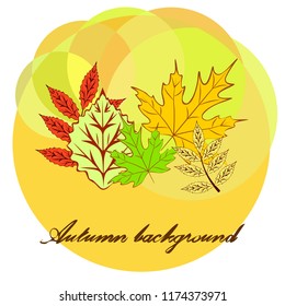 autumn deciduous autumn vector background