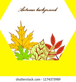 autumn deciduous autumn vector background