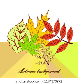 autumn deciduous autumn vector background