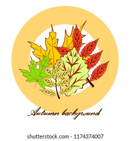 autumn deciduous autumn vector background