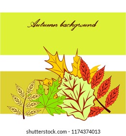autumn deciduous autumn vector background
