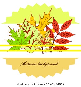 autumn deciduous autumn vector background