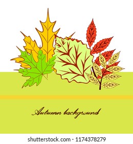 autumn deciduous autumn vector background