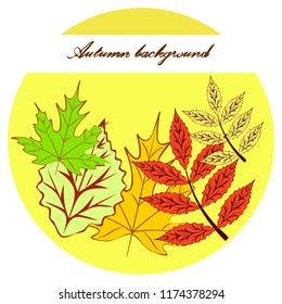 autumn deciduous autumn vector background