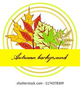 autumn deciduous autumn vector background