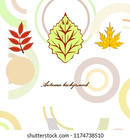 autumn deciduous autumn vector background