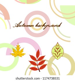 autumn deciduous autumn vector background