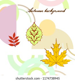 autumn deciduous autumn vector background