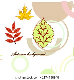 autumn deciduous autumn vector background