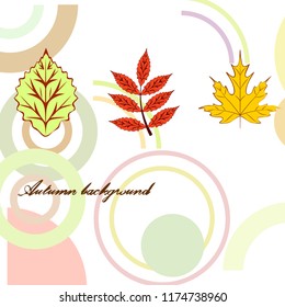 autumn deciduous autumn vector background