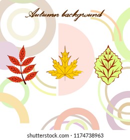 autumn deciduous autumn vector background