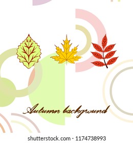 autumn deciduous autumn vector background