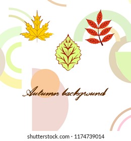 autumn deciduous autumn vector background