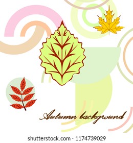autumn deciduous autumn vector background