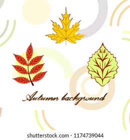 autumn deciduous autumn vector background