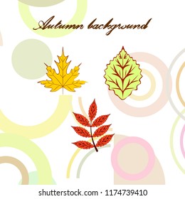 autumn deciduous autumn vector background