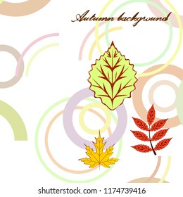 autumn deciduous autumn vector background