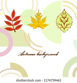 autumn deciduous autumn vector background