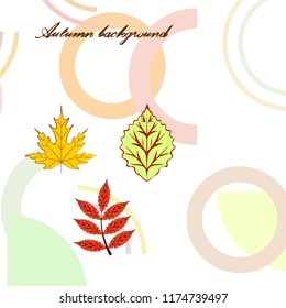 autumn deciduous autumn vector background