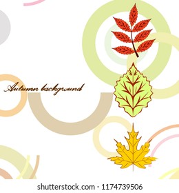 autumn deciduous autumn vector background autumn deciduous autumn vector background