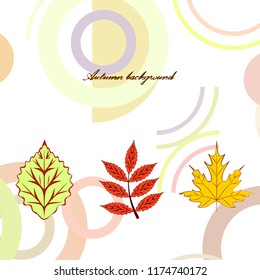 autumn deciduous autumn vector background