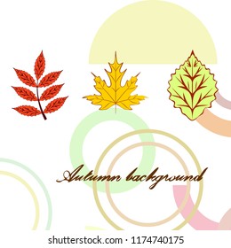 autumn deciduous autumn vector background