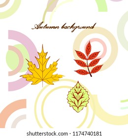 autumn deciduous autumn vector background