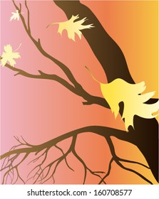 autumn decoration