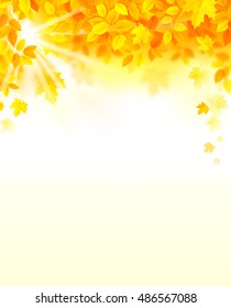 autumn decoration color yellow, red, composition with maple leaves