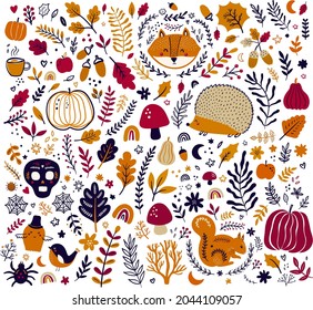 Autumn decorative collection with pumpkins, leaves, animals and halloween symbols