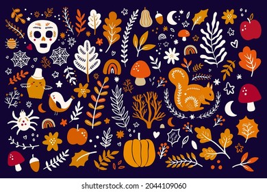Autumn decorative collection with pumpkins, leaves, animals and halloween symbols