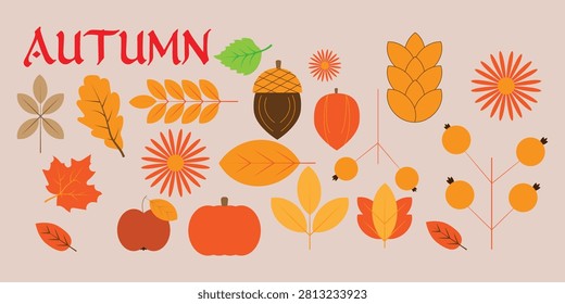 Autumn decorative elements and text autumn. Vector set of various autumn leaves, flowers, fruits, and berries.