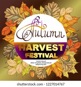 Autumn decorative greeting card-banner, handwritten Golden inscription-autumn and harvest festival in a circle. Decorative card on a gold background with nature gifts and autumn leaves. Advertising. R