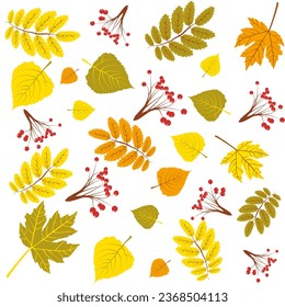 Autumn decorative rowanberry seamless pattern. Simple fall berries repeatable motif for fabric, wrapping paper, surface design projects. autumn maple and birch leaves