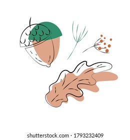 Autumn decorative set, isolated elements, hand drawn doodle sketch design, cute cartoon scandinavian style illustration. White background, vector 