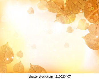 Autumn design background with leaves falling from the tree. EPS10