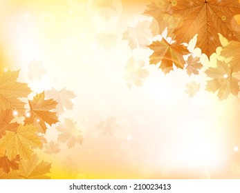 Autumn design background with leaves falling from the tree. EPS10