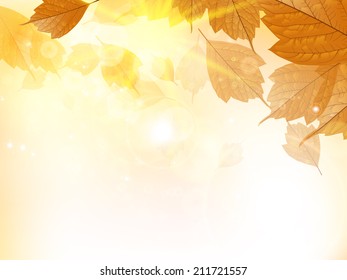 Autumn design background with leaves falling from the tree. EPS10
