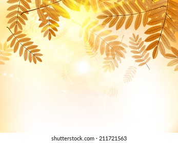 Autumn design background with leaves falling from the tree. EPS10