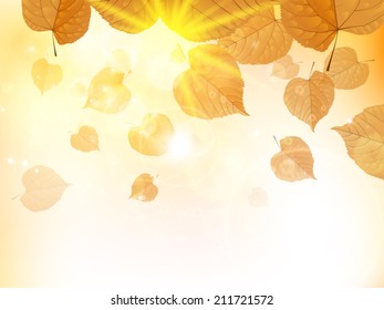 Autumn design background with leaves falling from the tree. EPS10