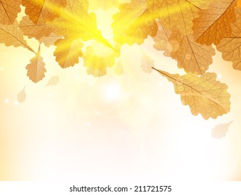 Autumn design background with leaves falling from the tree. EPS10